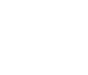 dashAPI